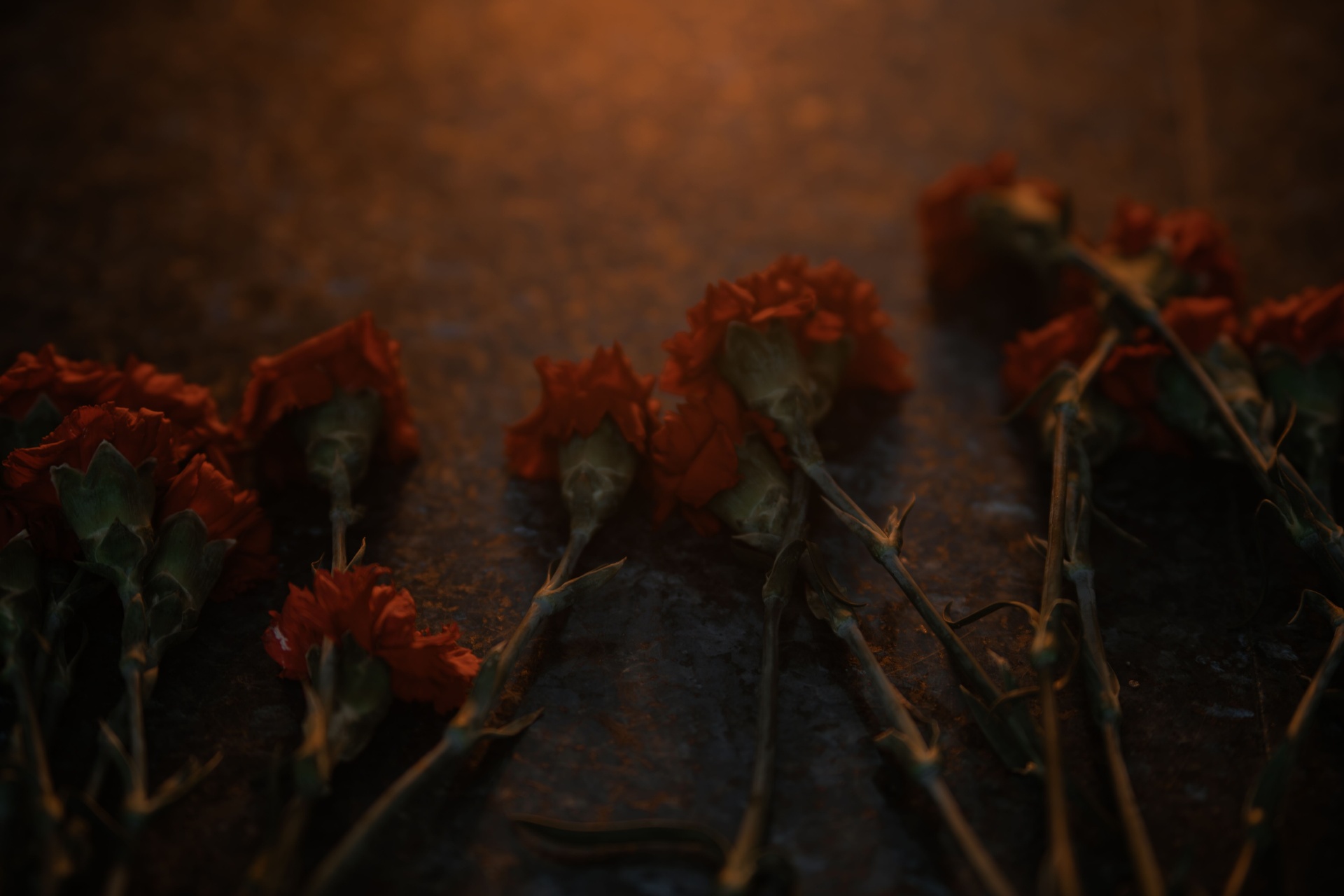 Deep red carnations resting on dark stone in warm candlelight